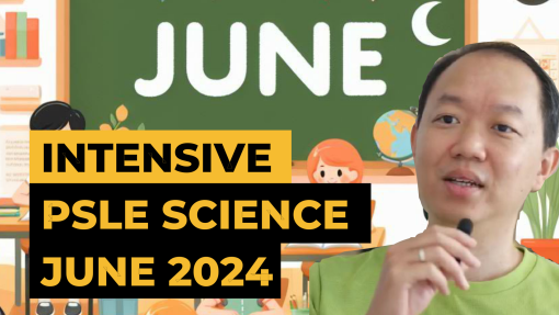 2024 intensive psle science class