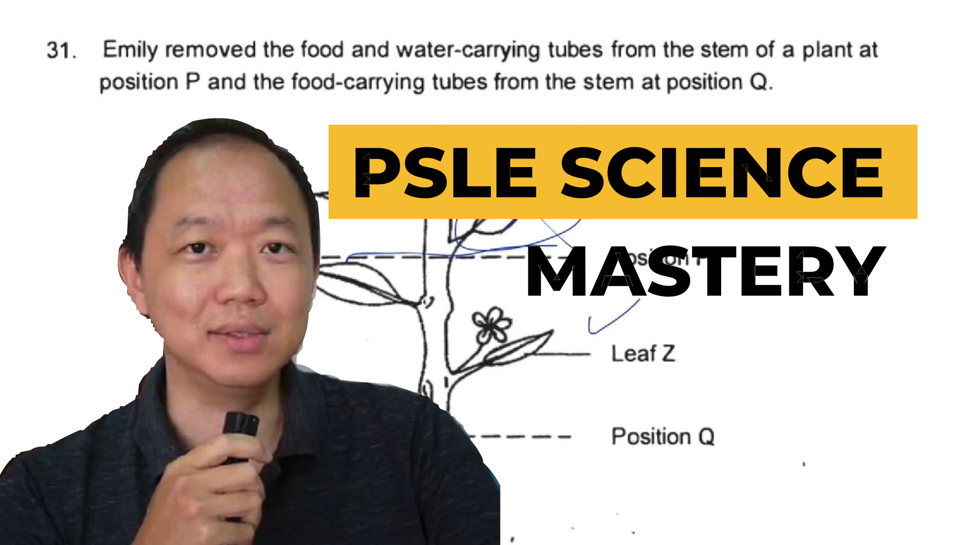 psle science mastery